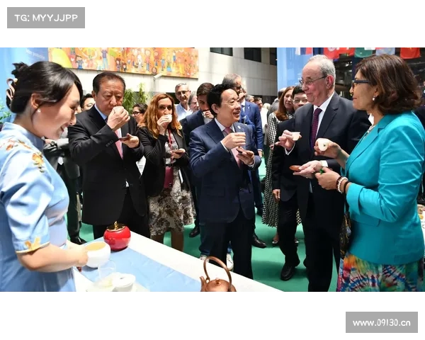 弗拉门戈向联合国请愿将自己认定为文化国家推动全球文化交流